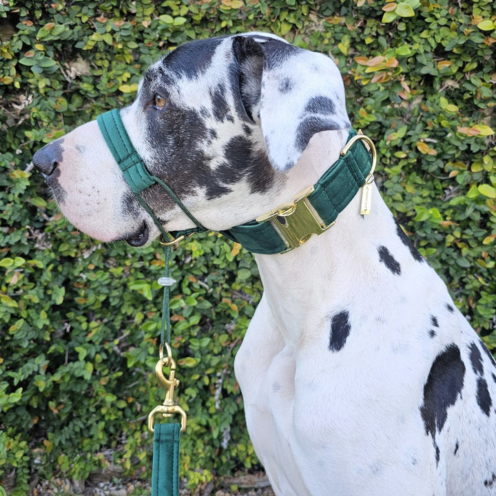 Forest Green Luxury Velvet Head Halter Attachment