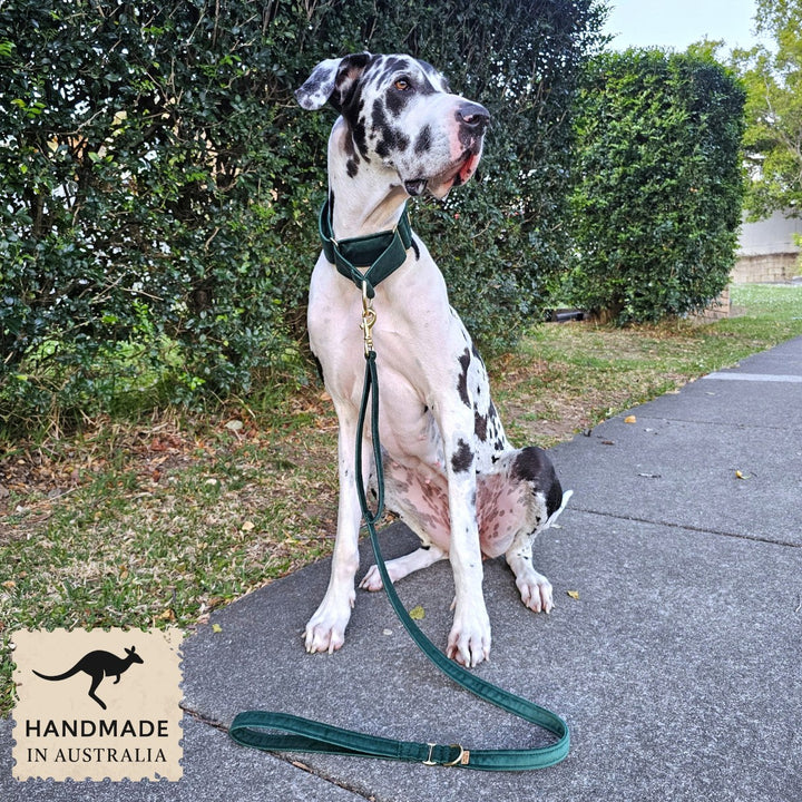 Forest Green Luxury Velvet Lead