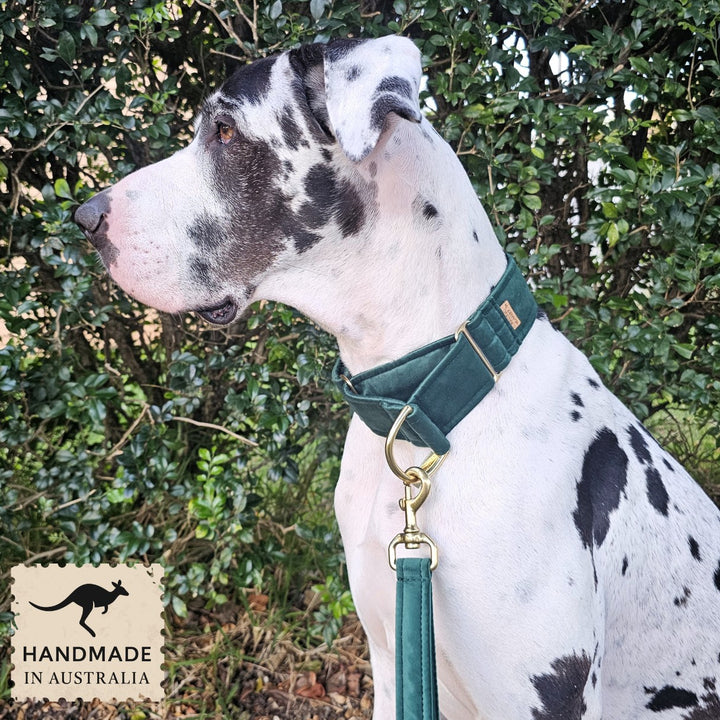 Forest Green Luxury Velvet Martingale Collar