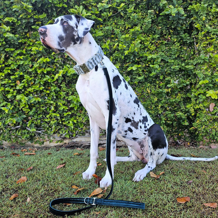 Grayed Jade Luxury Embossed Velvet Buckle Collar