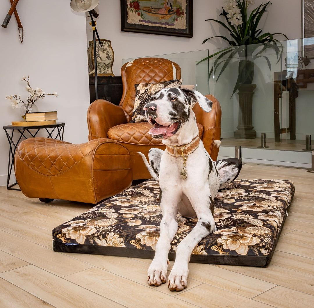 luxury australian made xlarge extra large orthopedic dog bed orthopaedic supportive dog bed great dane wolfhound St Bernard