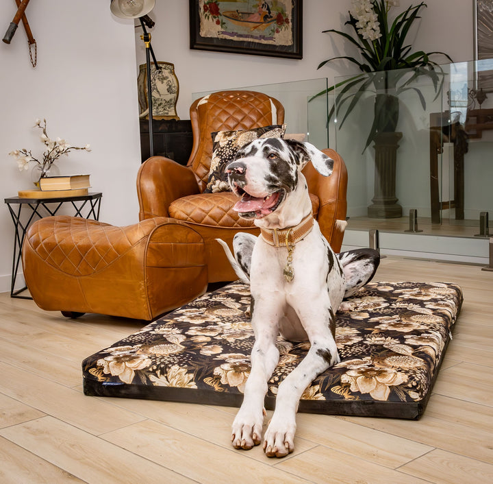 luxury australian made xlarge extra large orthopedic dog bed orthopaedic supportive dog bed great dane wolfhound St Bernard