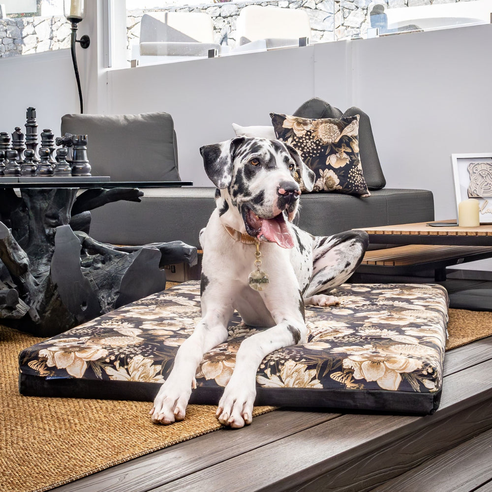 luxury australian made xlarge extra large orthopedic dog bed orthopaedic supportive dog bed great dane wolfhound St Bernard