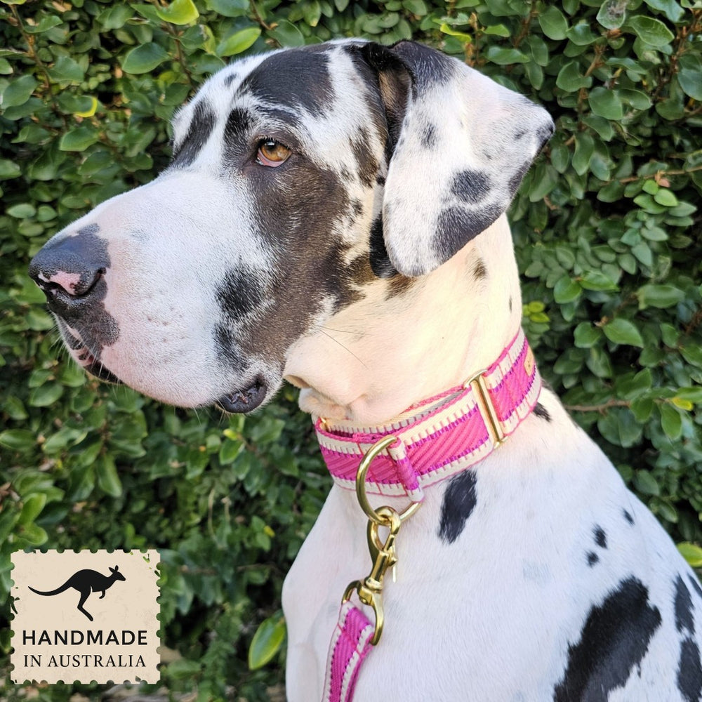 Luxury hot pink St Tropez dog martingale collar polyester webbing