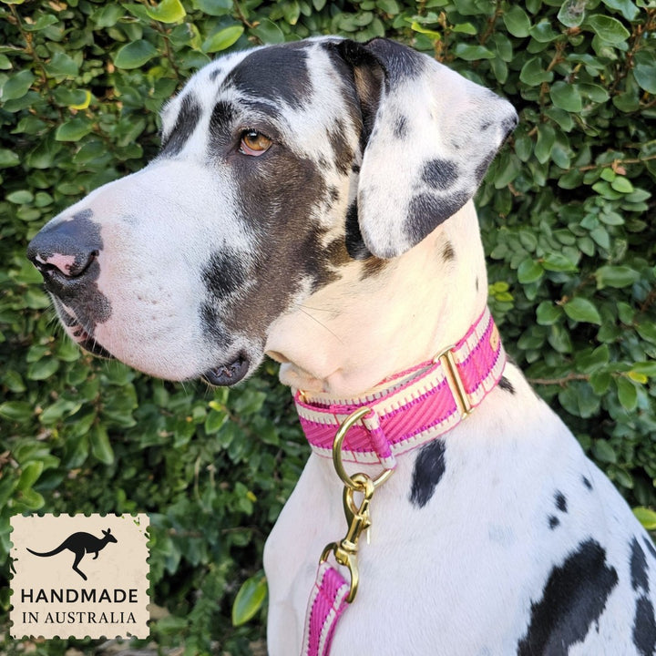 Luxury hot pink St Tropez dog martingale collar polyester webbing