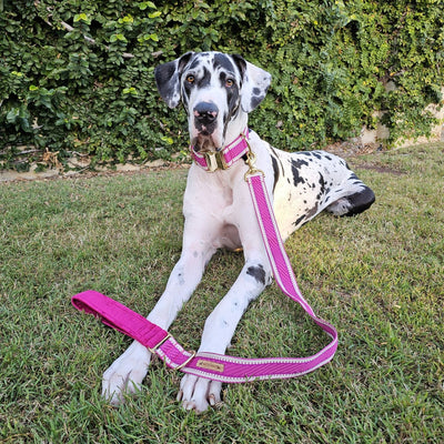 Luxury hot pink St Tropez dog lead leash polyester webbing