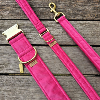 Hot Pink Luxury Velvet Buckle Collar