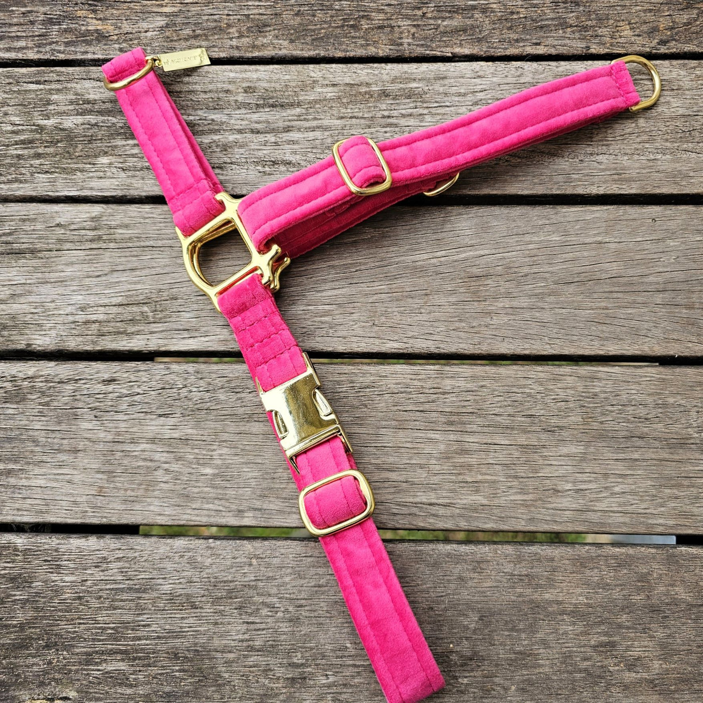 Hot Pink Luxury Velvet Harness