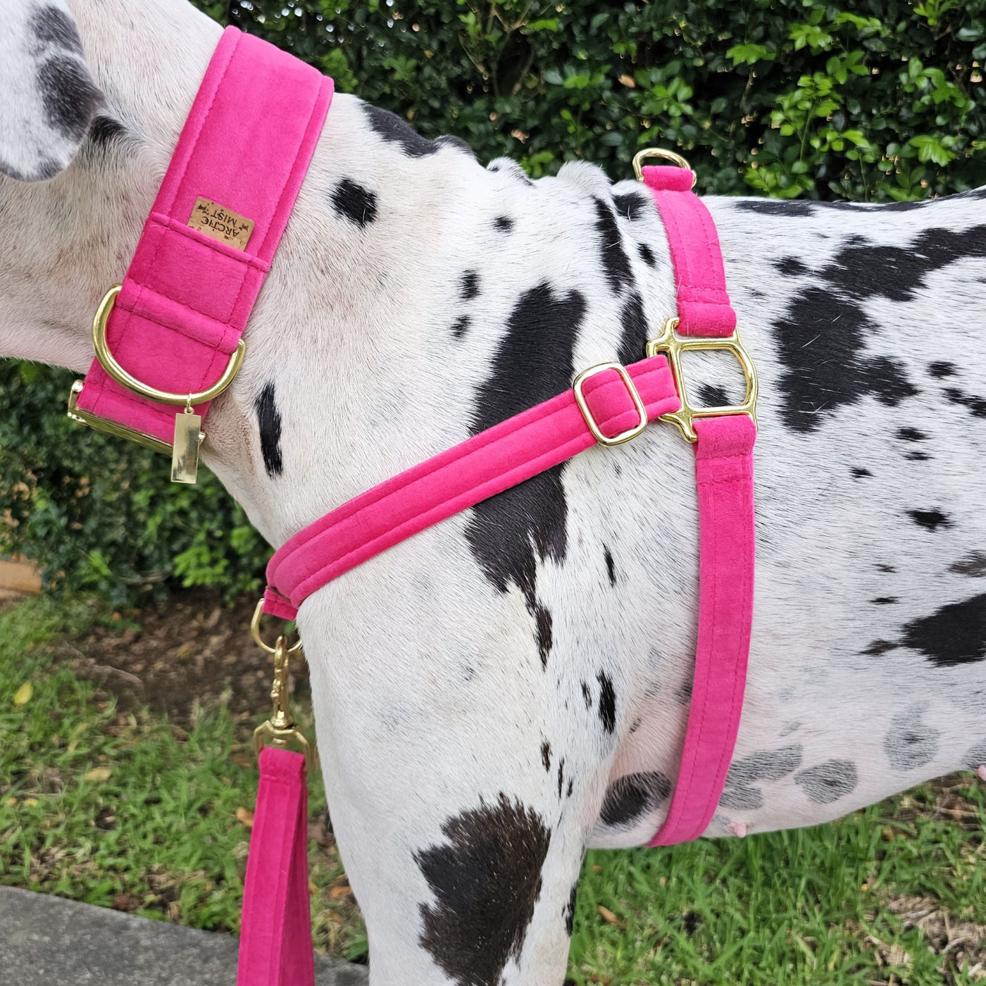 Hot Pink Luxury Velvet Harness