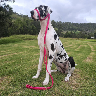 Hot Pink Luxury Velvet Slip Halter