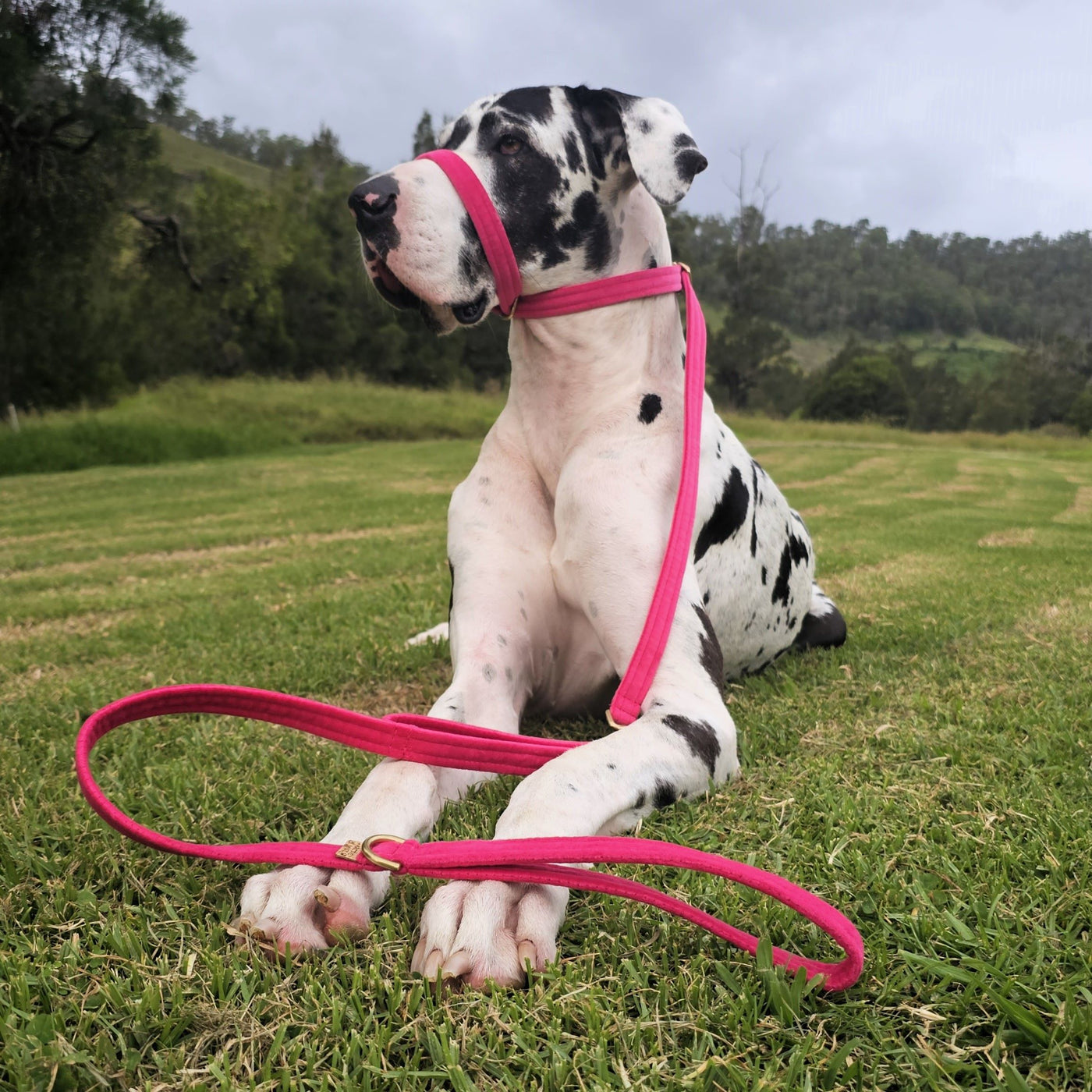 Hot Pink Luxury Velvet Slip Halter