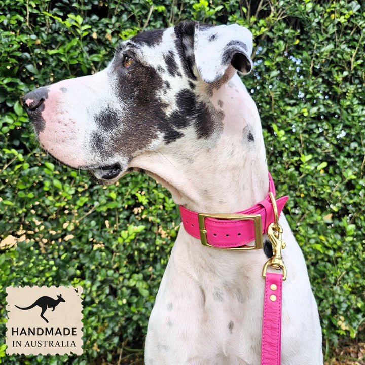 Luxury hot pink leather kangaroo dog collar and lead. Handmade in Australia