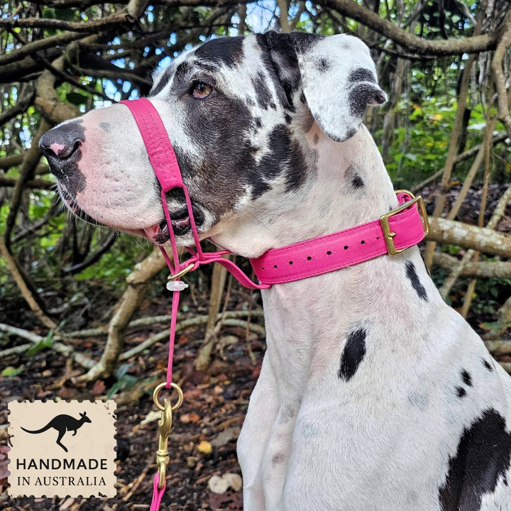 Luxury hot pink leather kangaroo dog collar, head halter and lead. Handmade in Australia