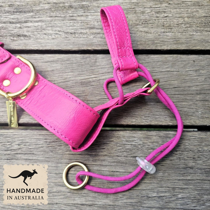 Luxury hot pink leather kangaroo dog collar, head halter and lead. Handmade in Australia