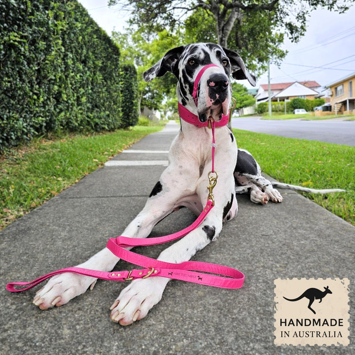 Luxury hot pink leather kangaroo dog collar, head halter and lead. Handmade in Australia