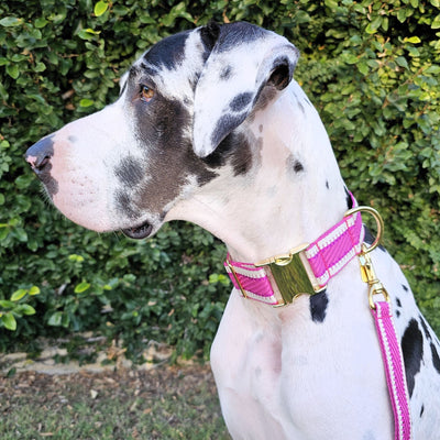 Luxury hot pink St Tropez dog collar buckle collar polyester webbing