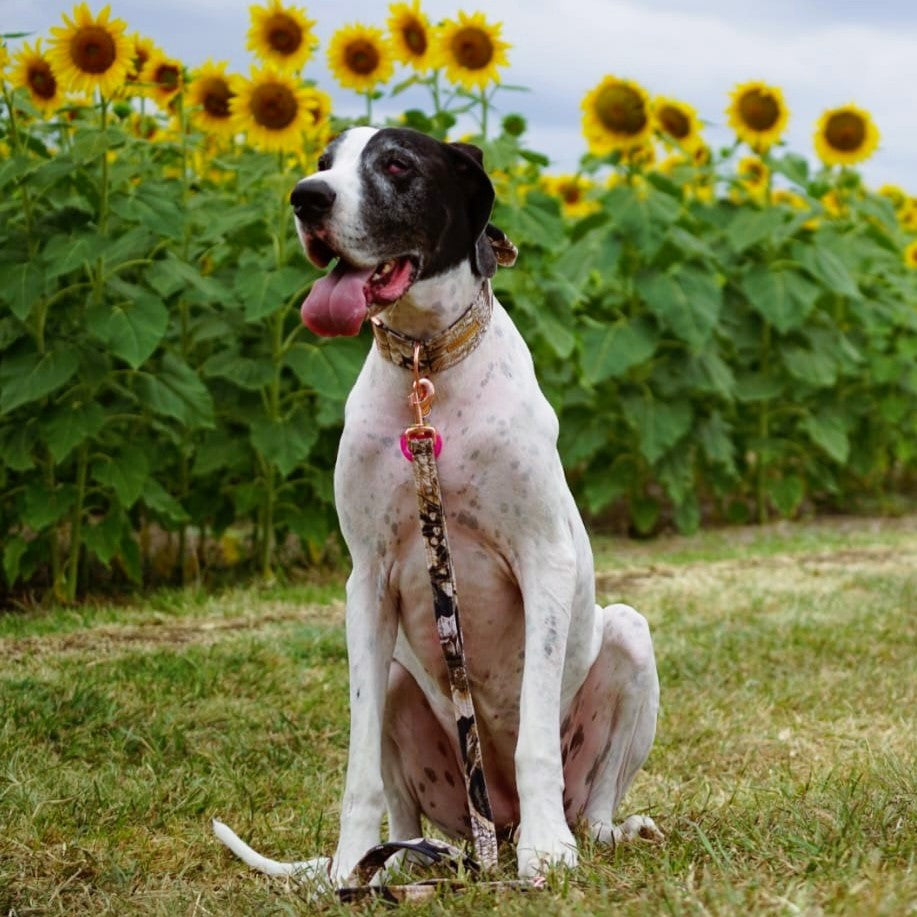 Golden Bloom Printed Velvet Lead