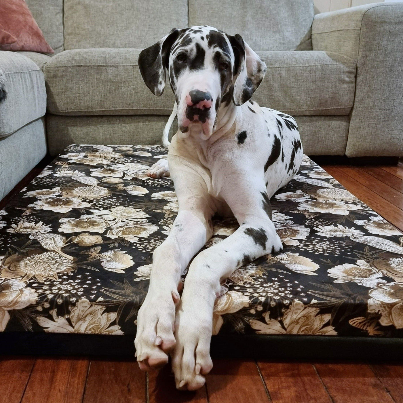 Large Luxury Orthopedic Dog Bed
