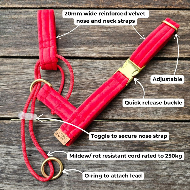 Hot Pink Luxury Velvet Complete Training Halter