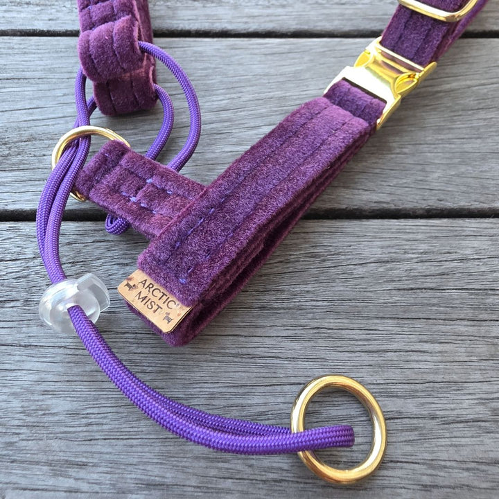 Midnight Plum Luxury Velvet Complete Training Halter