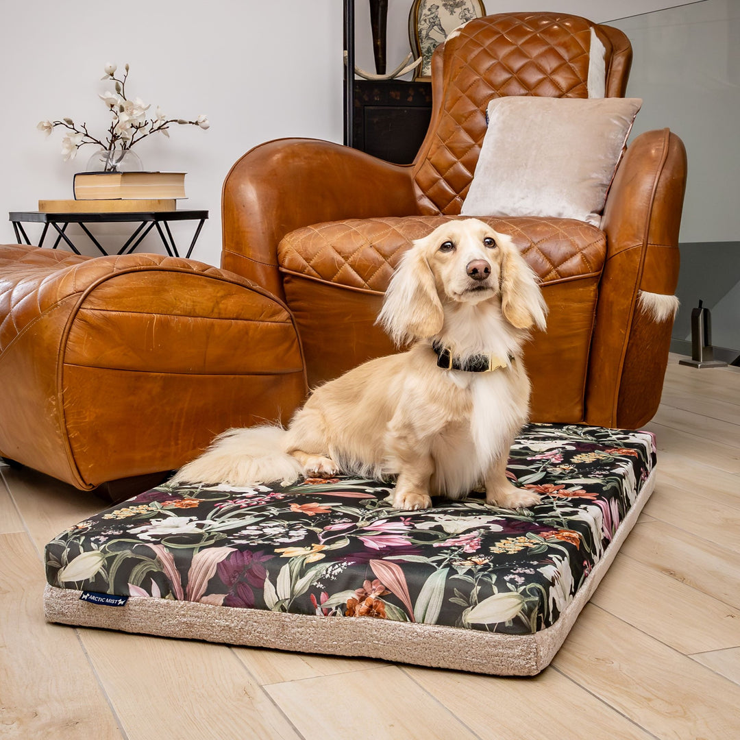 luxury australian made xlarge extra large orthopedic dog bed orthopaedic supportive dog bed great dane wolfhound St Bernard