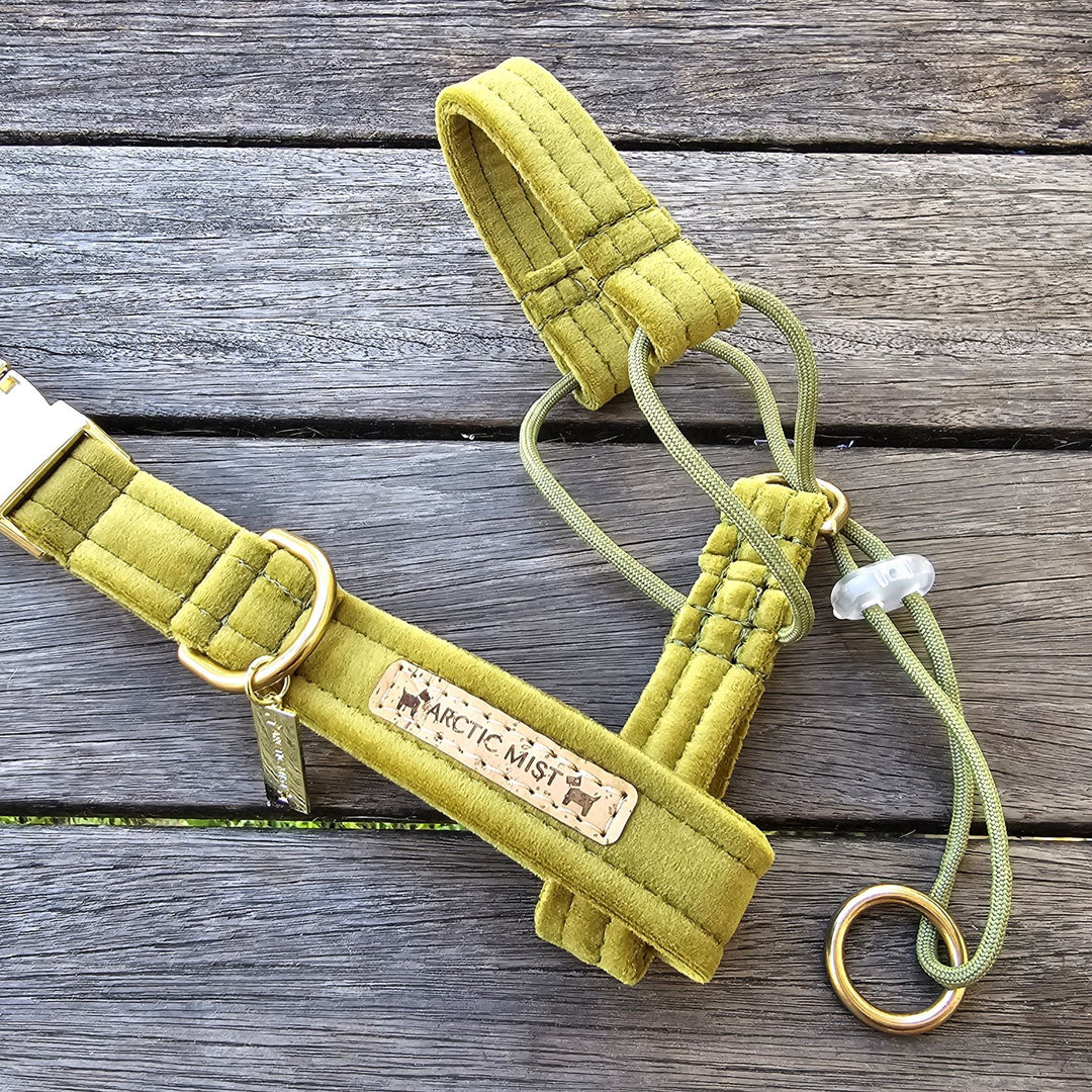 luxury olive velvet dog head halter