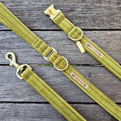 luxury olive velvet dog harness
