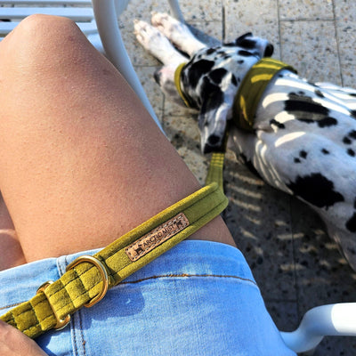 luxury olive velvet dog lead leash