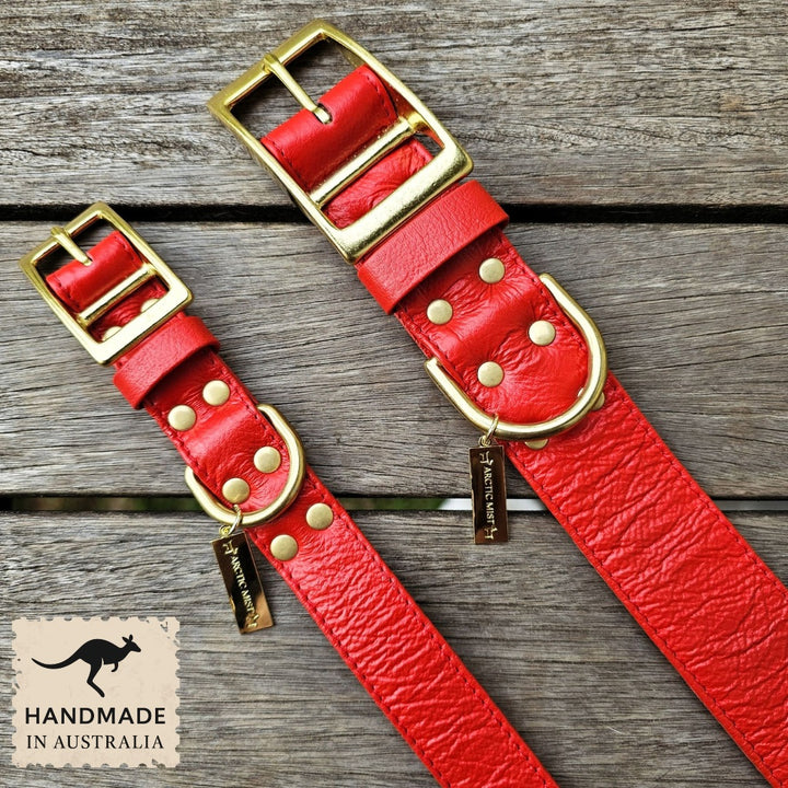 Luxury fiery red leather kangaroo dog collar and lead. Handmade in Australia
