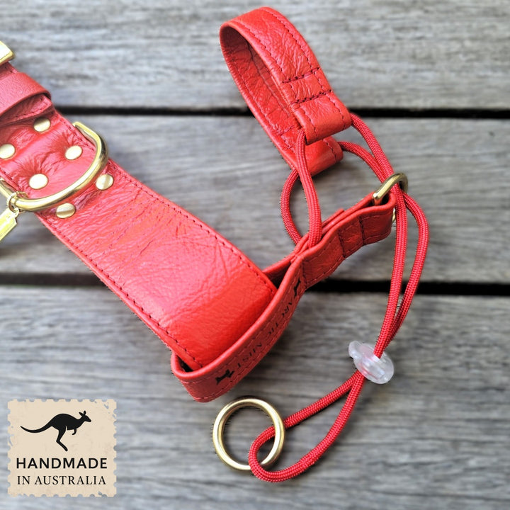 Luxury Fiery Red leather dog collar and head halter attachment with brass hardware. Handmade in Australia.