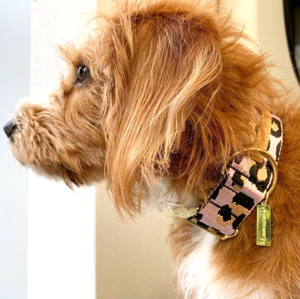 blush leopard nylon webbing buckle collar