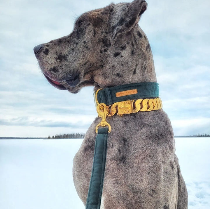 Green Luxury Velvet Lead