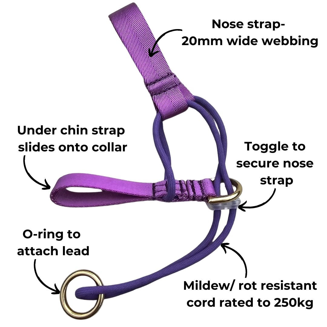 Lavender Adventure Head Halter Attachment