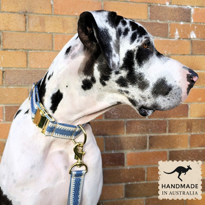 Storm Blue St Tropez Buckle Collar