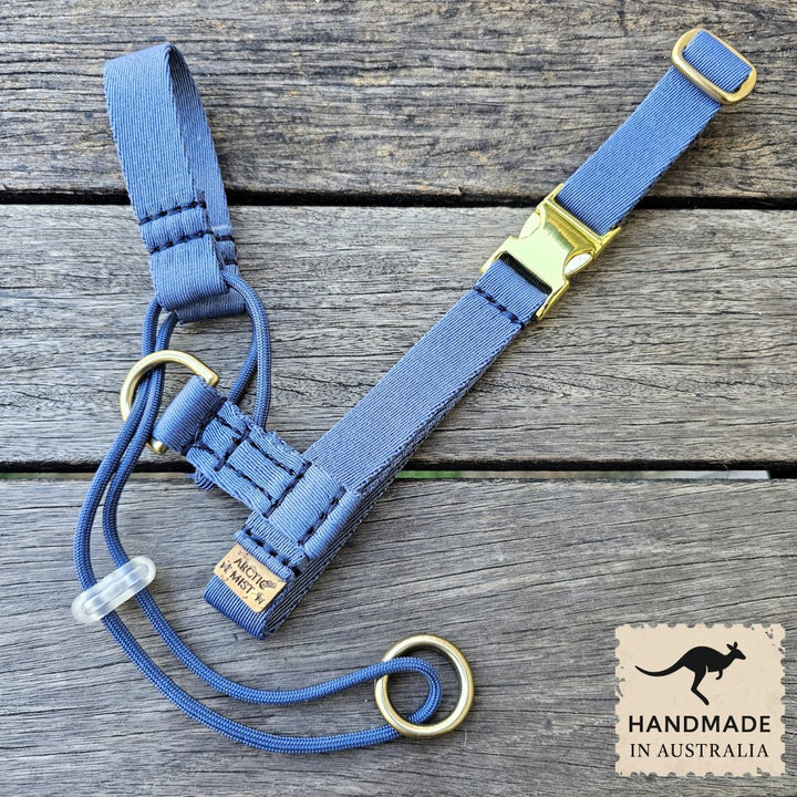 Storm Blue Complete Adventure Training Halter