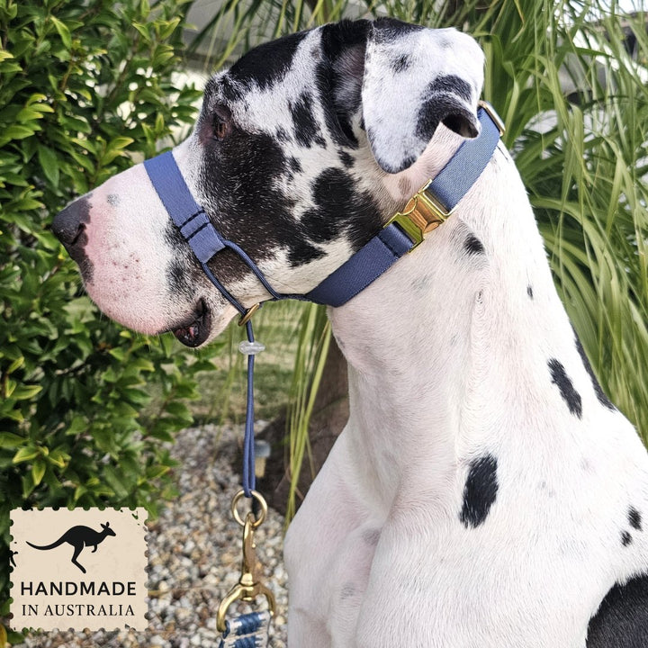 Storm Blue Complete Adventure Training Halter