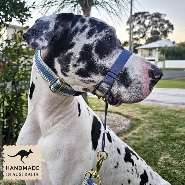 Storm Blue Adventure Head Halter Attachment