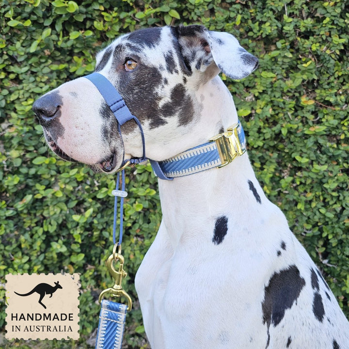 Storm Blue Adventure Head Halter Attachment