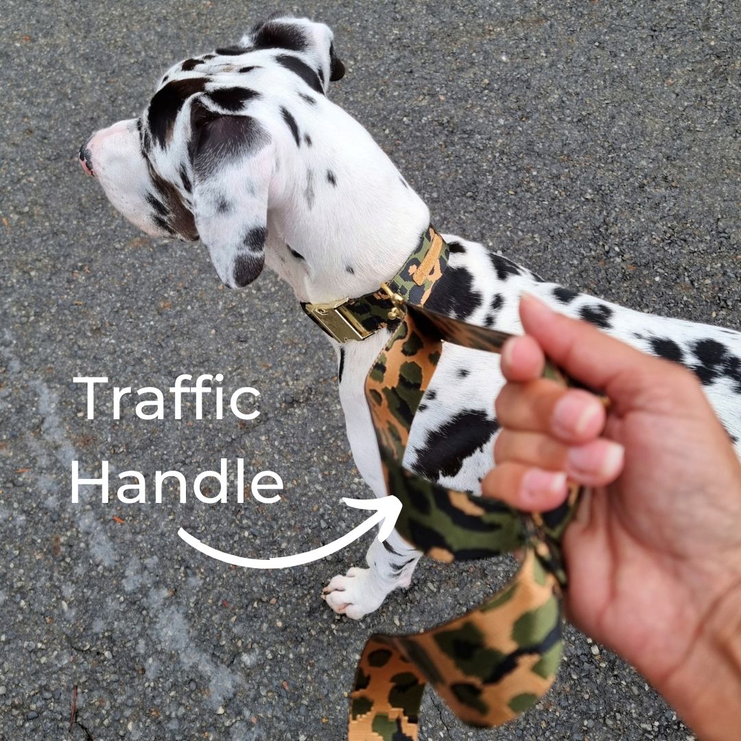 Caramel Latte Adventure Lead