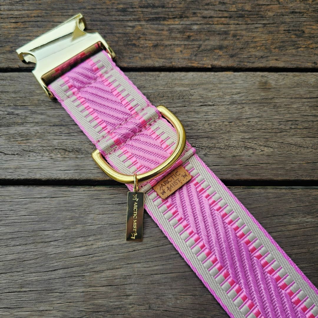 Candy Pink St Tropez Buckle Collar