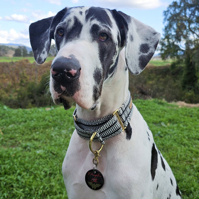 Aztec Martingale Collar