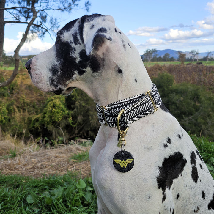 Aztec Martingale Collar