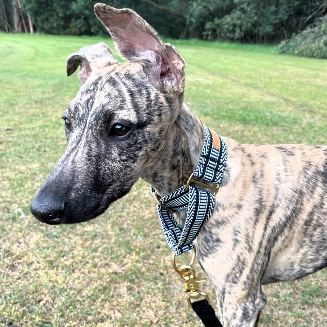 Aztec Martingale Collar