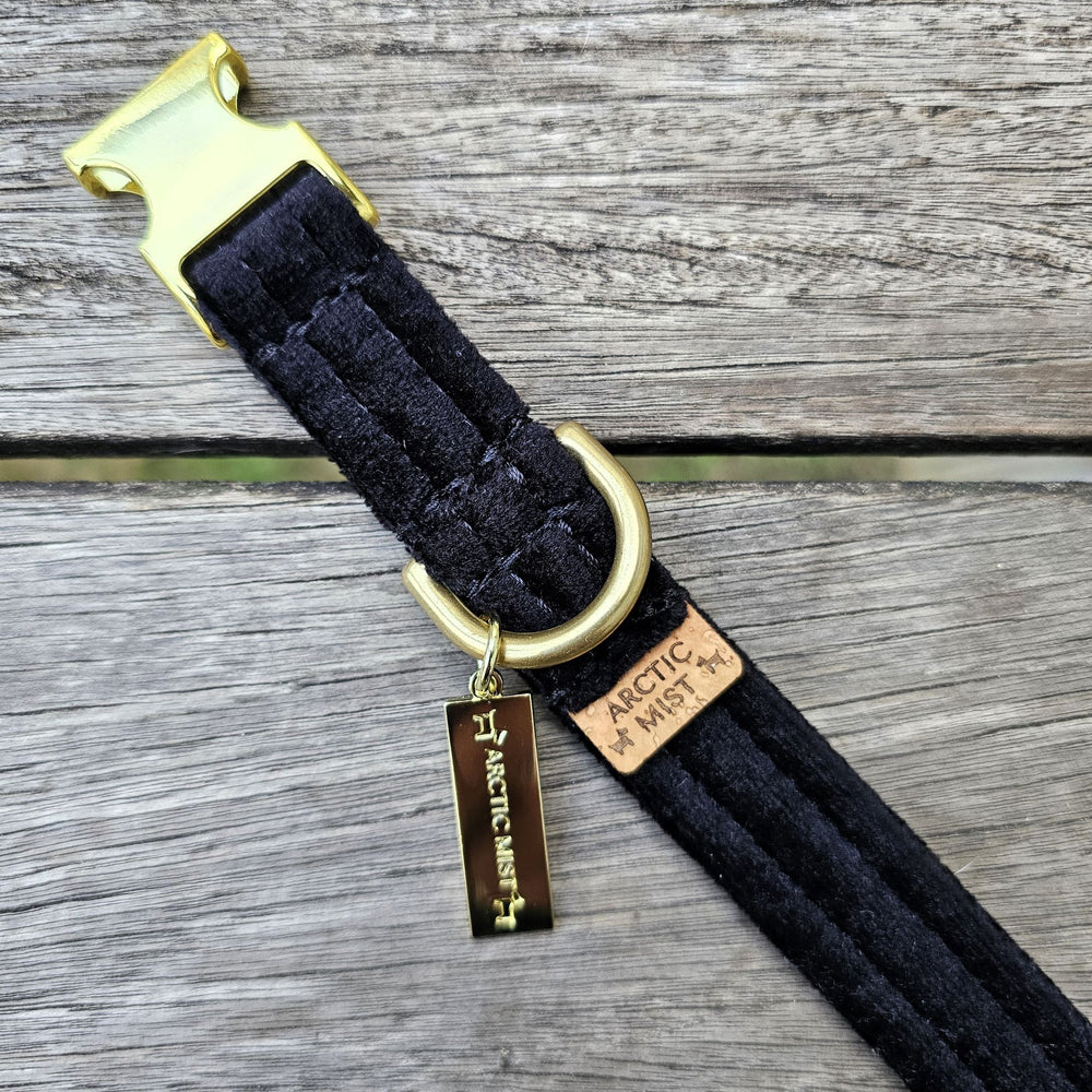 black luxury velvet buckle dog collar