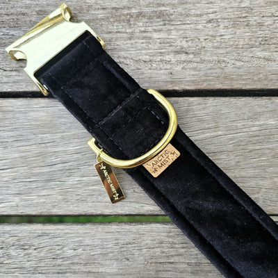 black luxury velvet buckle dog collar