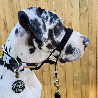 Black Luxury Velvet Head Halter Attachment