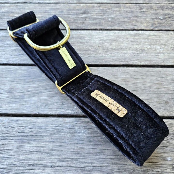 Black Luxury Velvet Martingale Collar