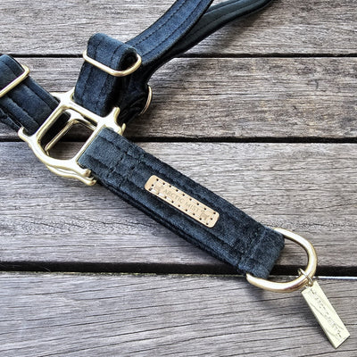 Black Luxury Velvet Harness