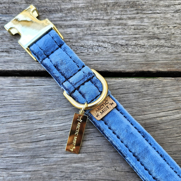 Blue Luxury Velvet Buckle Collar