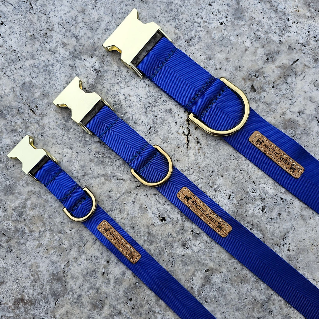 royal blue nylon webbing webbed adventure beach buckle collar